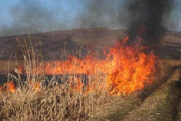 Mioveni: Se iau măsuri dure împotriva celor care incendiază câmpurile. Fapta devine infracțiune!